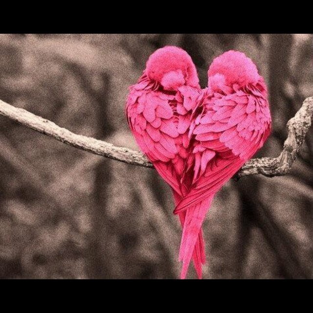 أَشْـهَدُ أَنْ لا إِلـهَ إِلاّ الله ، وَأَشْـهَدُ أَنَّ مُحَمّـداً عَبْـدُهُ وَرَسـولُه