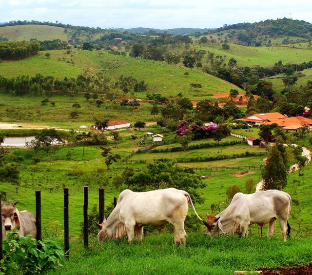 ONDE TODOS OS PARAANIMAIS SAO BEM-VINDOS! JUNTE-SE A @vacawhore, @_ParaLover, @ovowhore, taylor_inhoque e @gansowhore!