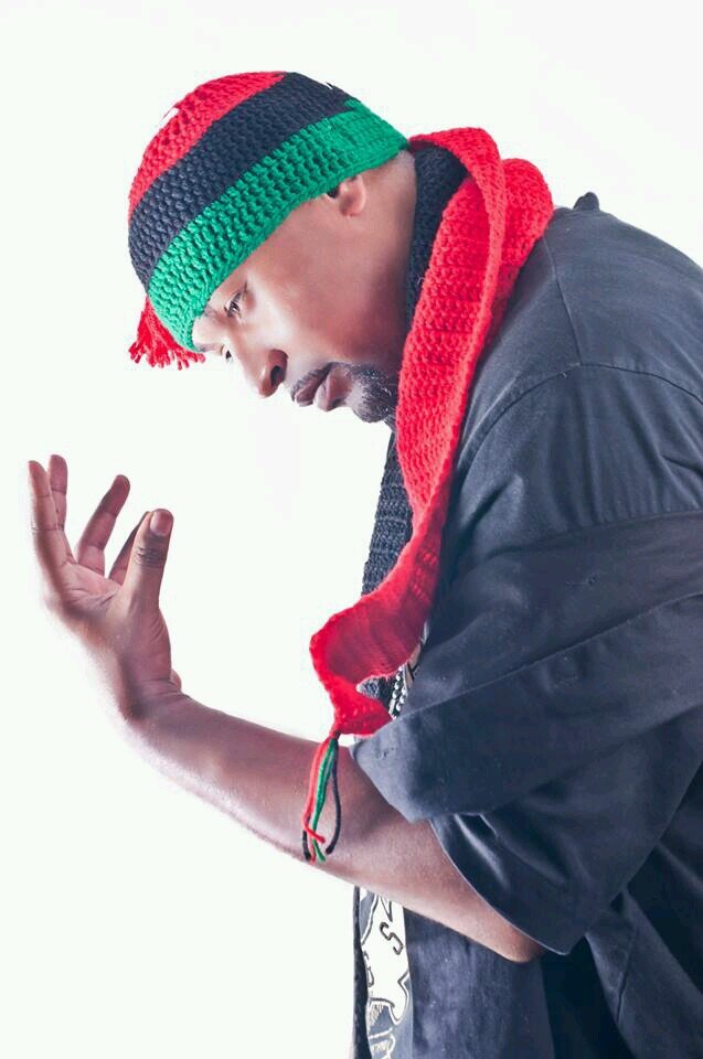 Artist,Writer,Owner,Lyricist,Revolutionary