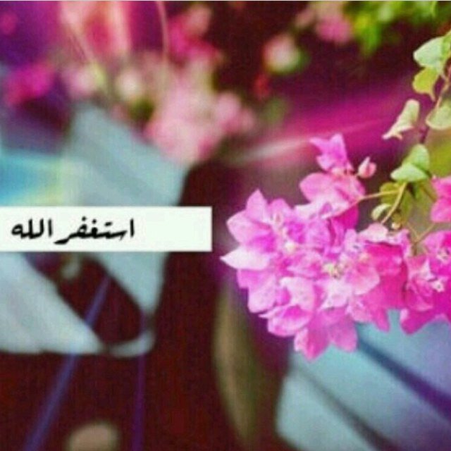 ارْحَمُوا مَنْ فِي الأَرْضِ يَرْحَمْكُمْ مَنْ فِي السَّمَاء❤️ نحن قوم أعزنا الله بالإسلام فإن إبتغينا العزة بغيره أذلنا الله❤️. سامحوني اذا اخذت تغريدة منكم ❤️