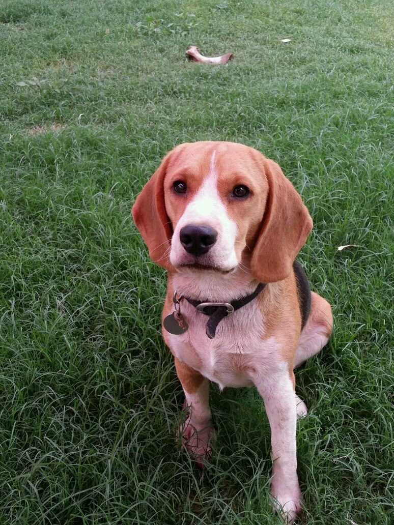 gastech078's profile picture. 