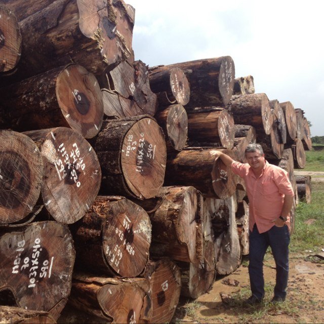 Compra- Venta de Madera Aserrada y en Rolas ( Tropical y Pino Caribe ) en todas sus medidas. Mas de 25 años de Experiencia.