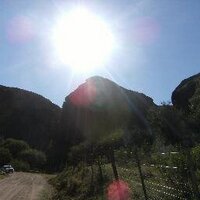 La mona lisa (@lapatachueca1) 's Twitter Profile