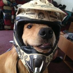 _Cucumber_'s profile picture. 