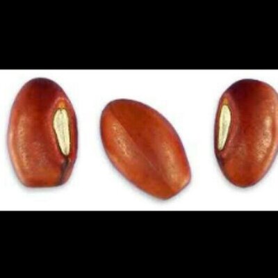 83533de753cfb20816d6f5cb16bc18f1_400x400