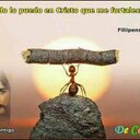 Javier alexander (@alexnixb) Twitter