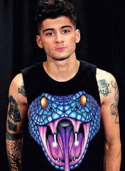 THIS IS A FREE FOLLOW. FOLLOW MY MAIN @SPOONINGZAYN