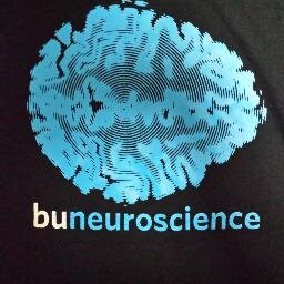 The Official Twitter of the Undergraduate Program in Neuroscience at Boston University