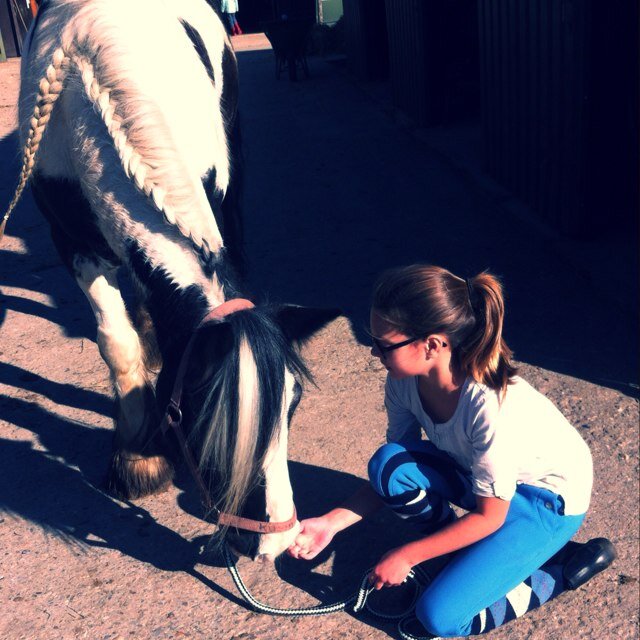 Pien de zwart: sterren college 13 years old brown hiar brown eyes I love horses my friens Nienke, meike, Jesse, Rachel mijn bescherm engel, Jane, Britney, Laura