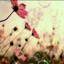طموح داعيه ☁. (@11Sh4awi) Twitter
