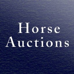 Horse auctions informs you about upcoming auctions of foals, jumpers and dressage horses. You can also download our app from the app stores.
