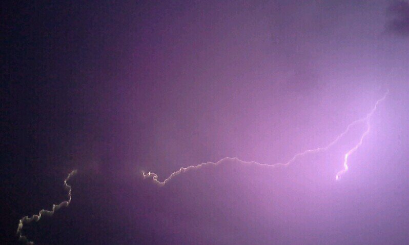 qloop1419's profile picture. 