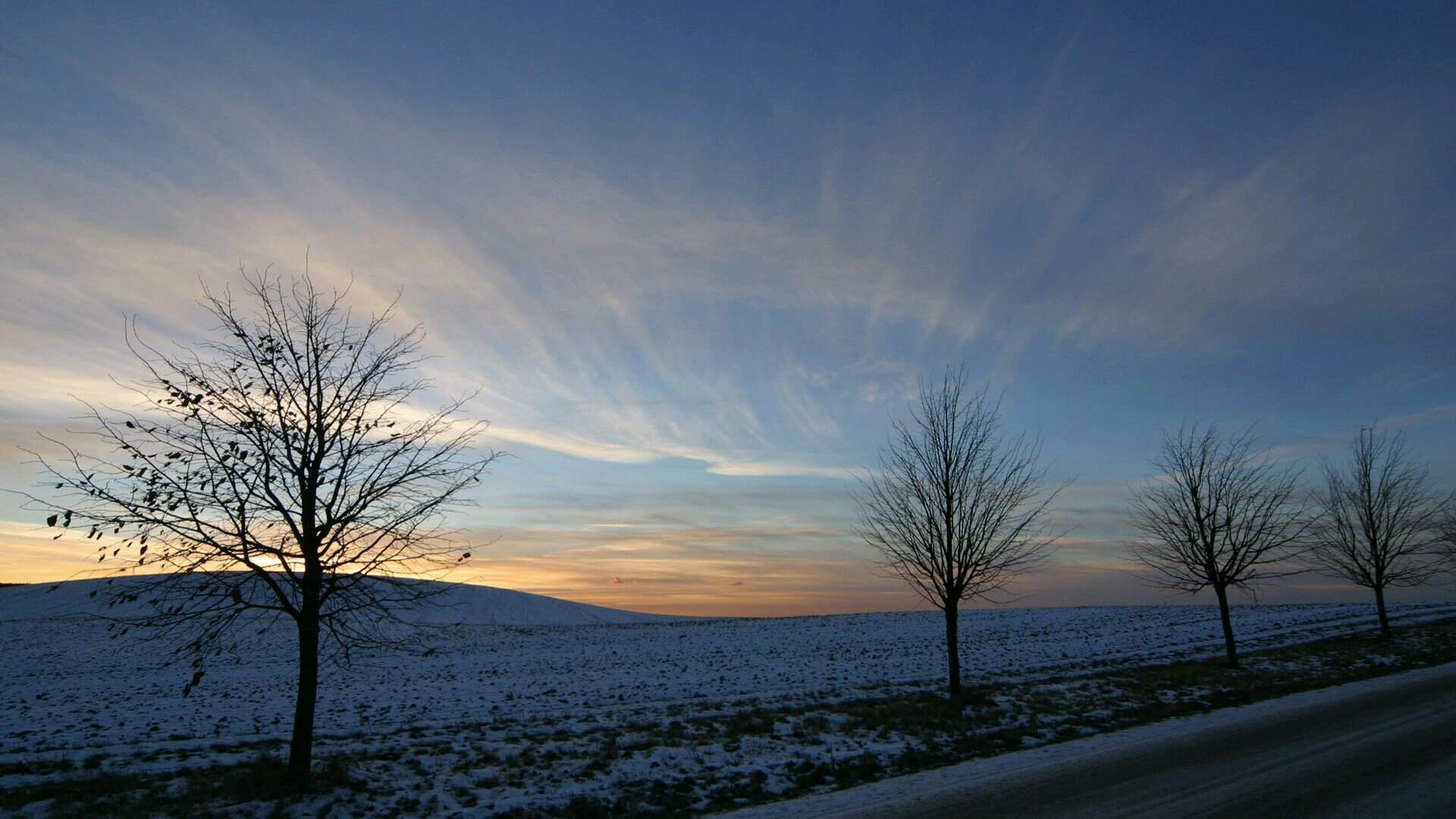 Solantia's profile picture. 