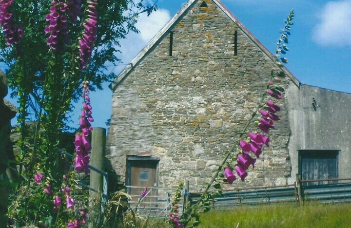 brutensbangers's profile picture. Farmers wife, mother to 4, loves a kitchen party at the Farm