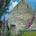Pen-y-Fan Isaf Farm (@brutensbangers) Twitter profile photo Pen-y-Fan Isaf Farm (@brutensbangers) Twitter profile photo