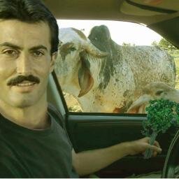 Çevir Cam Kolunu Yanmasın