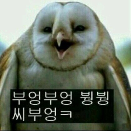 17살/여고부산/맞팔은o/틱톡o/카톡x/요구no no!!