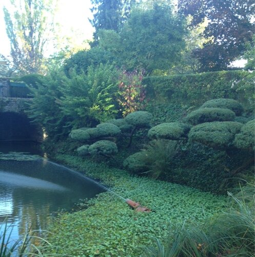 Lilacs28's profile picture. 