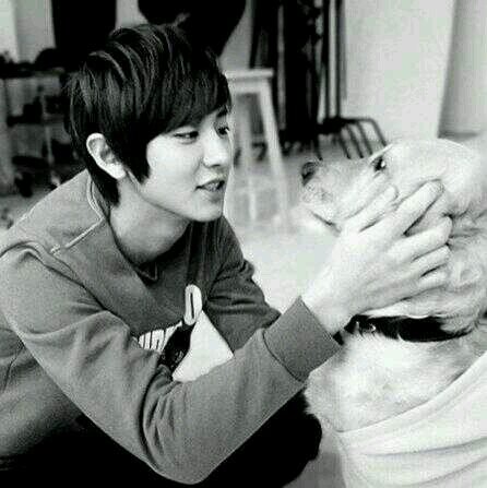 exo CHANYEOL bot