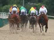 All Weather Racing Tips @ Lingfield, Kempton, Southwell and Wolverhampton