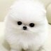 다은이 (@bo20122) Twitter profile photo