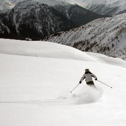 stephchweidan's profile picture. 