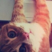 rnomee3 (@rnomee3) 's Twitter Profile