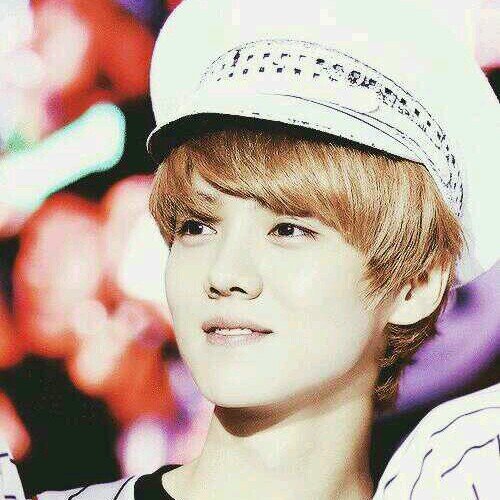 EXO-M LuHan bot not real 11/16~独占欲/キス魔/ハグ魔/淫乱/BL/DM→対応  俺と恋に落ちてみて
