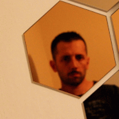 mehmedalizmir's profile picture. Bug Finder •