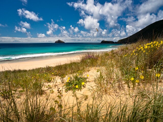 GaisAlsaid's profile picture. 