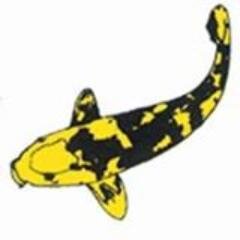 Aquajoy Water Gardens Ltd are pond cleaning, pond maintenance and pond construction specialists with friendly professional staff.