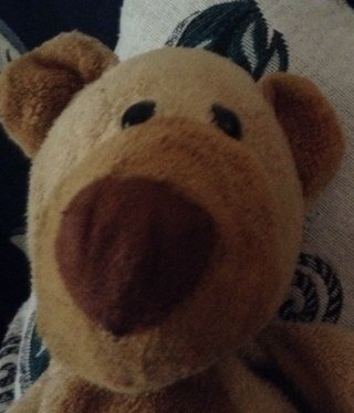 Hi i'm Mr.teddy