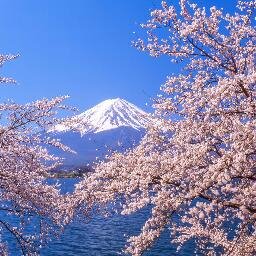 totoro01784342's profile picture. 富士山と自然風景フォト。PIXTAクリエイターtotoro