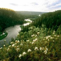 Pro Kuusamo (@prokuusamo) 's Twitter Profile