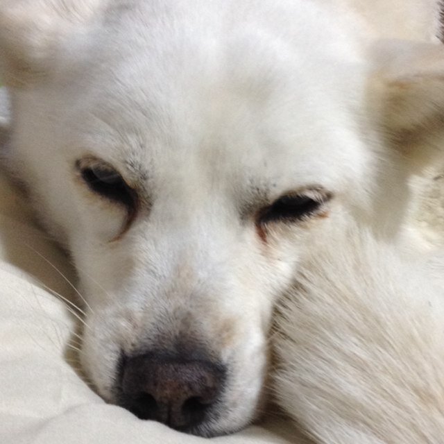 歳を重ねる毎にふらふらしてるような…