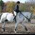 Melanie Peabody (@melanie_peabody) Twitter profile photo