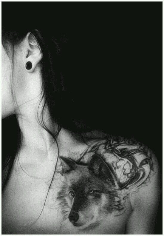 asoulintrance's profile picture. effing phenomenal😎