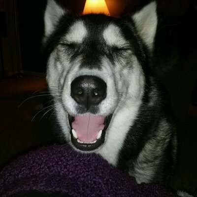 MTG flavor judge drawings on Twitter: "https://t.co/mdph9OAWCD" / Twitter