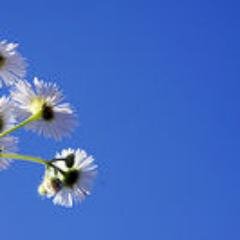 vencemos_7895's profile picture. 