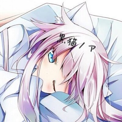 黒猫ノア 0102noa Twitter 黒猫ノア 0102noa Twitter