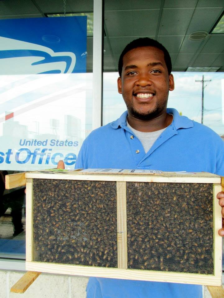 Urban Farmer, Student, Teenick Halo honoree