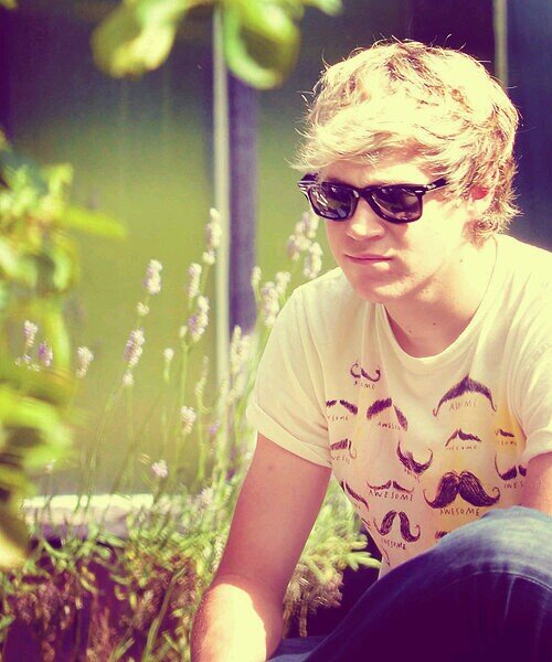i love you niall james horan
