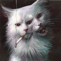 seri0us_cat Profile Picture