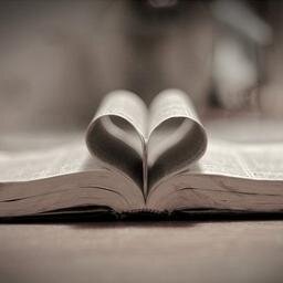 LeClubDesLectri's profile picture. 