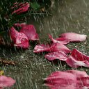 استغفر الله (@0001110009) Twitter