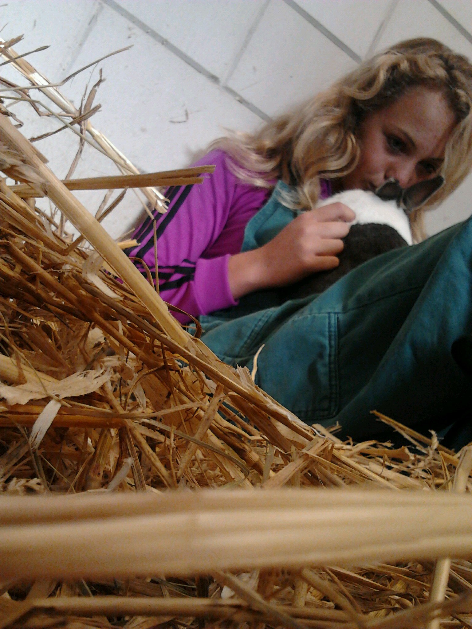 anisamy1's profile picture. ik ben een paardenliefhebber I ♥ HORSES