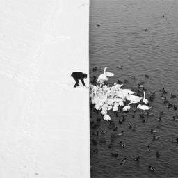 VeronikaHval's profile picture. 