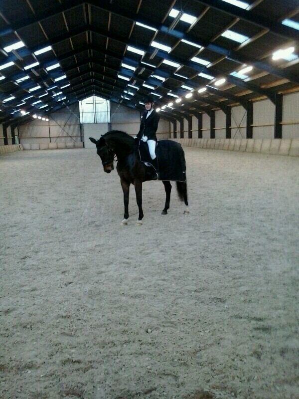 angelakrops's profile picture. #16 #horseriding♥