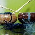 Fiberge Yarn Shop (@knittingnati) Twitter profile photo Fiberge Yarn Shop (@knittingnati) Twitter profile photo