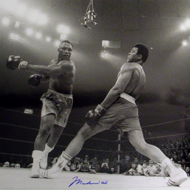 I done wreslted with an aligator, tustled with a whale. I handcuffed lighting threw thunder in jail. Let me show you how great i am.       

-muhammed ali